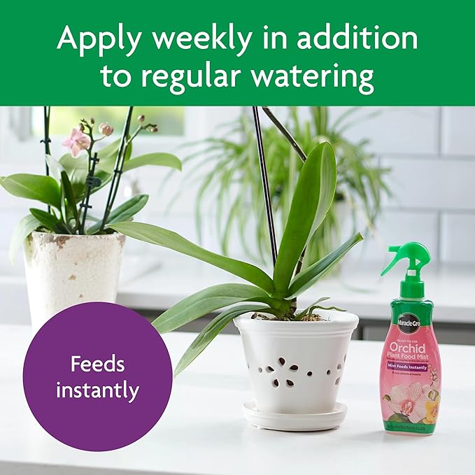 Miracle-Gro Ready to Use Orchid Plant Food Mist, Indoor Orchid Plants, 8 oz, 3-Pack