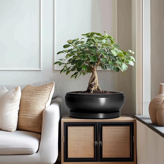 EPFamily Bonsai Pots 13 Inch - Large Ceramic Succulent Pots with Drainage Hole and Tray, Round Planter Bowl Indoor Outdoor, Modern Shallow Planters, Home Living Room Decor, Gardening Gifts, Black