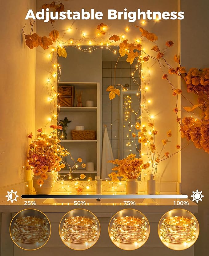 Plug-in Fairy Lights, 164 Ft 500 LED String Light with Remote, 8 Modes, Timer and Dimming Twinkle Lights for Indoor, Bedroom, Party, Decoration, Holiday, Warm White