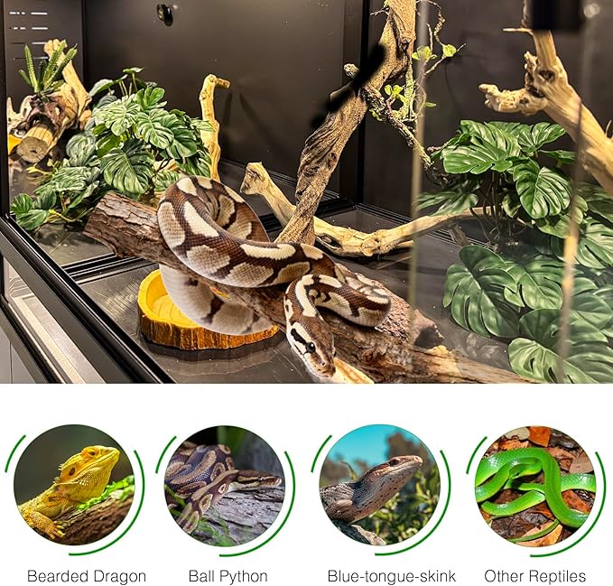 ToxiRium Large PVC Reptile Terrarium 40"x16"x16" 44 Gallon Enclosure for Bearded Dragon, Gecko, Lizard, Snake with Sliding Doors & Lock