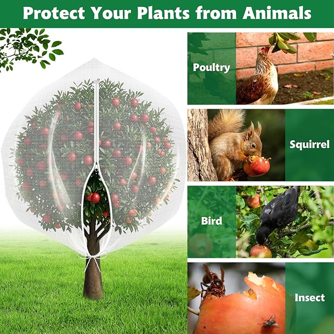 OZMI 4 Pack Fruit Tree Blueberry Bush Netting Cover, 2.3Ft x 3.4Ft Reusable Bird Netting for Garden Protection with Zipper & Drawstring, Shrubs Tomato Strawberry Plant Bushes Protector