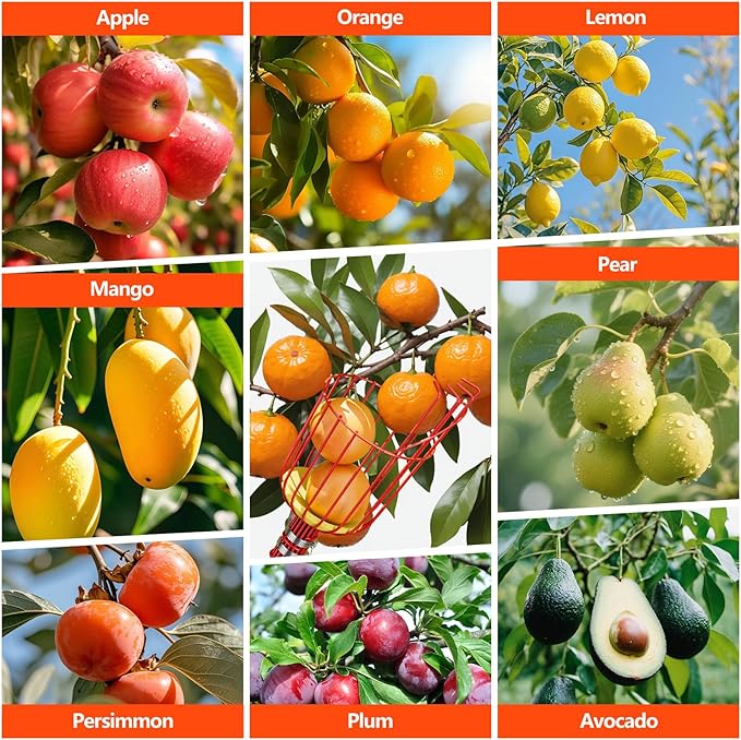 SPECILITE Fruit Picker, 5-20FT Adjustable Telescoping Pole with Basket, Aluminum Apple Picker Tool, Lightweight for Harvesting Orange, Mango, Avocado, Pear, Lemon, Garden Tree Fruit Catcher