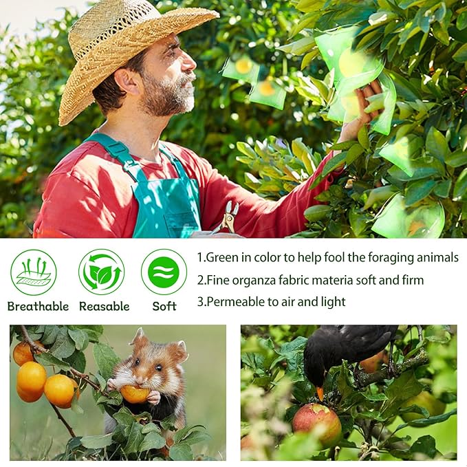 200 Pcs Fruit Protection Bags 7''x9'' Fruit Netting Bags with Drawstring Fruit Bags for Fruit Trees, Fruit Protect Bags Vegetable Fruit Net Fruit Cover Mesh Bag for Protecting Fruits(Green,7 x 9 Inch)