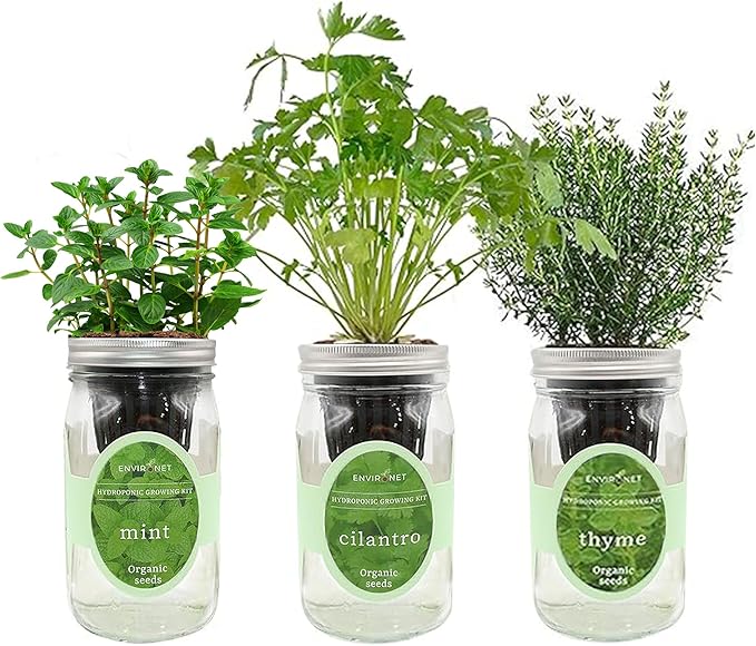 Environet Hydroponic Growing Kit Set, Self-Watering Mason Jar Herb Garden Starter Kit Indoor, Window Herb Garden, Grow Your Own Herbs from Organic Seeds (Mint, Cilantro and Thyme)