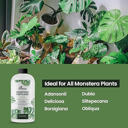 32oz Monstera Plant Food - Makes 192 Gallons of Monstera Fertilizer, Liquid Indoor Plant Fertilizer for Obliqua, Deliciosa and More, 6-2-4 NPK Ratio for Houseplants’ Healthy Growth & Glossy Leaves
