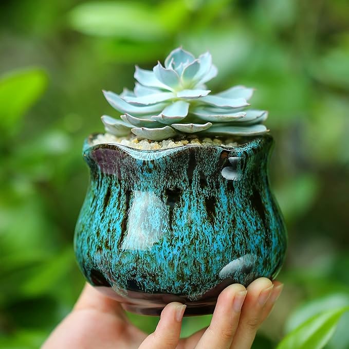 Fulloog Cute Ceramic Succulent Planters, Garden Pots with Drainage and Attached Saucer, Set of 6 - Plants Not Included