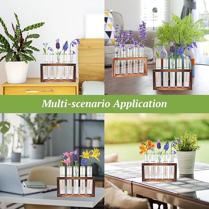 Tigvio 2pcs Desktop Glass Plant Propagation Station with 10 Test Tubes in Wooden Stand - Hydroponic Plants Cutting Office Home Decoration and Garden Decor Terrarium (10 Tubes)