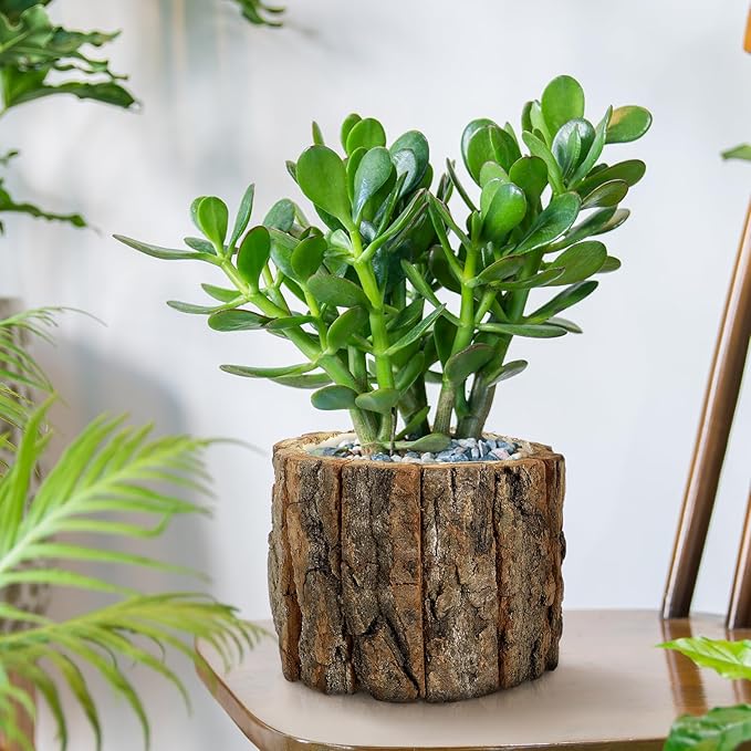 YARNOW Wooden Flower Pot Bark Vase Rustic Country Style Flower Planter Farmhouse Plant Vase Container Arrangement 12x12x10cm