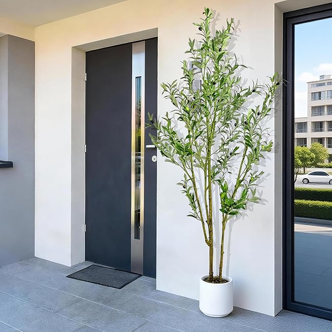 Olive Trees Artificial Indoor,Fake Olive Tree 6FT Tall 1Pack with White Planter Faux Silk Olive Tree for Home Living Room Office Decor Faux Artificial Plants Indoor with Fruit & Free Moss