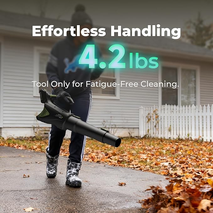 20V Handheld Electric Cordless Leaf Blower with 2.0Ah Battery & Fast Charger, Powerful up to 93 MPH, 350 CFM Stepless Speed Control, Powerful for Yard Cleaning