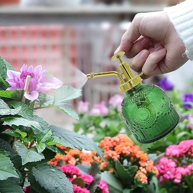 Glass Plant Mister Spray Bottle, 230ML Vintage Plant Spritzer, Succulent Watering Bottle Glass with Top Pump, Small Plants Sprayer Watering Can for Indoor Outdoor House(Green)