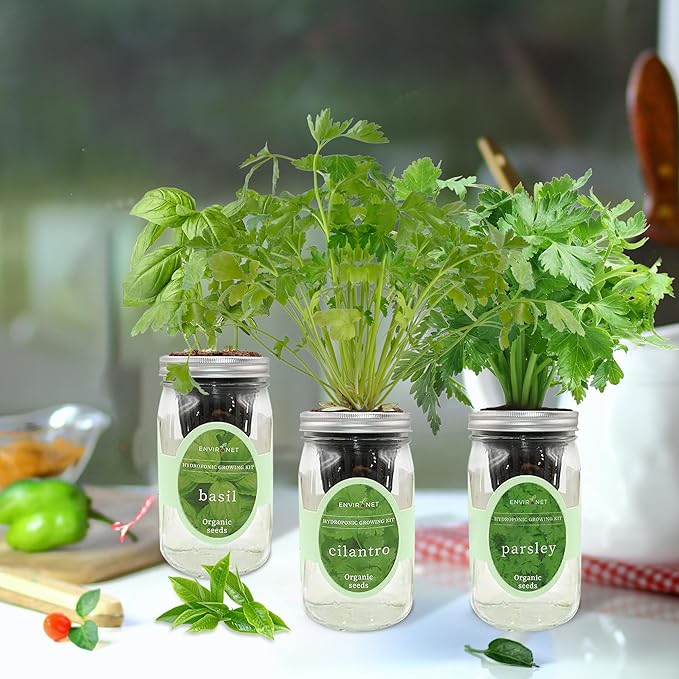 Environet Hydroponic Herb Growing Kit Set, Self-Watering Mason Jar Herb Garden Starter Kit Indoor, Windowsill Herbs Garden, Grow Your Own Herbs from Organic Seeds (Basil, Cilantro and Parsley)