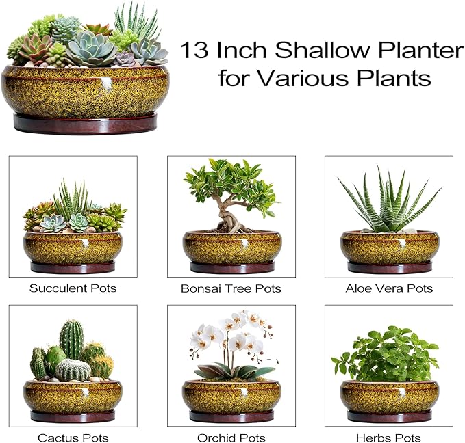 EPFamily Succulent Pots Large - 13 Inch Ceramic Bonsai Pot with Drainage Hole and Tray, Round Succulent Planters, Shallow Plant Pots Indoor, Bowl Planter Outdoor, Garden Decor, Gardening Gift, Yellow