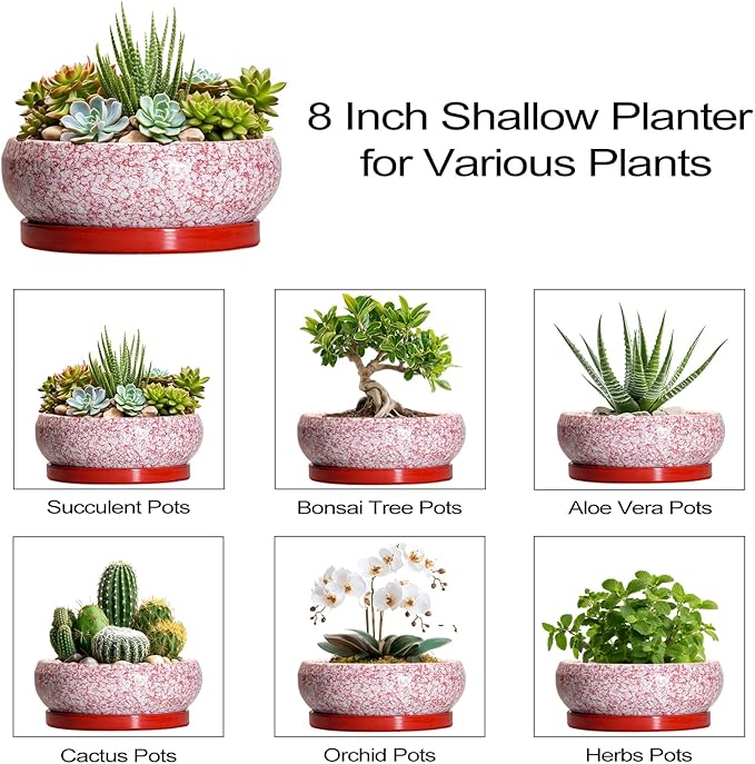 EPFamily Succulent Pots - 8 Inch Bonsai Pots for Indoor Outdoor, Shallow Ceramic Planter with Drainage Hole and Saucer, Round Flower Succulent Planters, Room Decor, Gifts for Plant Lovers, Red