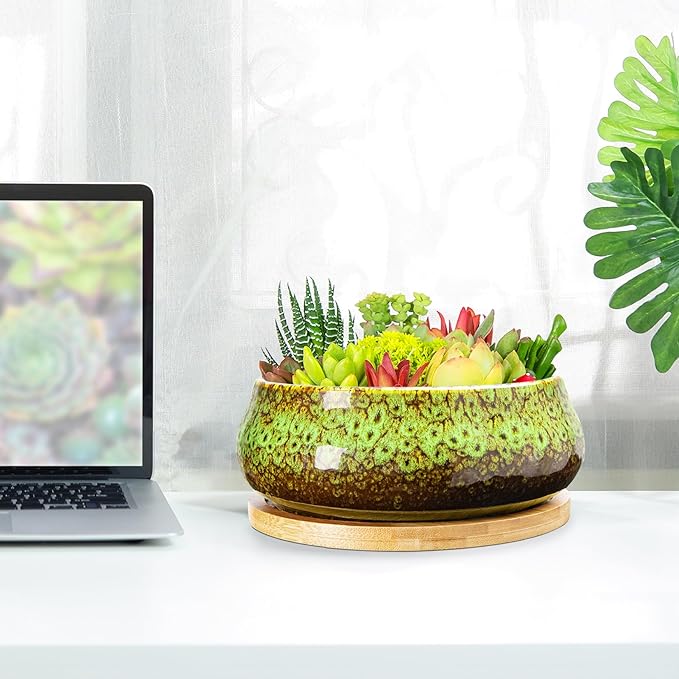 ARTKETTY Succulent Pots - 8 Inch Plant Pot, Large Bonsai Pots with Drainage Tray, Ceramic Planters for Indoor Outdoor Plants, Round Shallow Cactus Flower Plant Container Bowl Decorative Home Garden