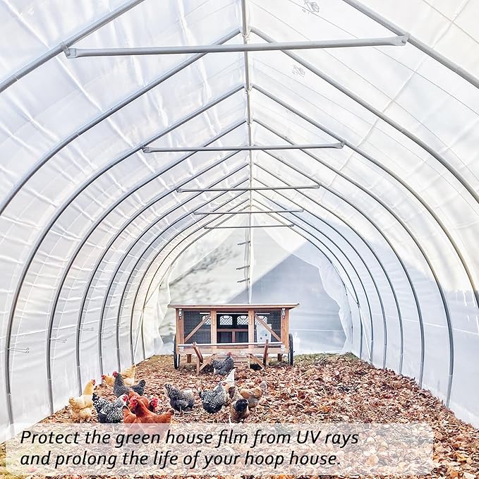 6 Mil Clear Greenhouse Plastic Sheeting,9.8FTx19.7FT Transparent Plastic Film for Greenhouse, Resistant Polyethylene Film for Farm,Garden…