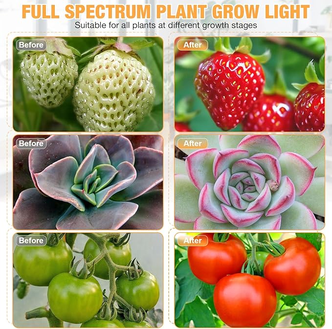 zyzykeji LED Grow Lights (2 Packs), 2 Heads Red Blue White Full Spectrum Plant Light with Clamp for Indoor Plants & Seed Starting, 10-Level Dimmable, Auto On Off, Timing 4 6 12Hrs