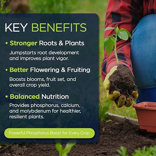 Supply Solutions | 0-45-0 Triple Superphosphate with 13.5% Calcium | High Phosphorus Bloom Booster Fertilizer for Indoor Plants, Flowers, Orchids, Citrus, Lawns, Vegetables & Fruit Trees (25 Pounds)