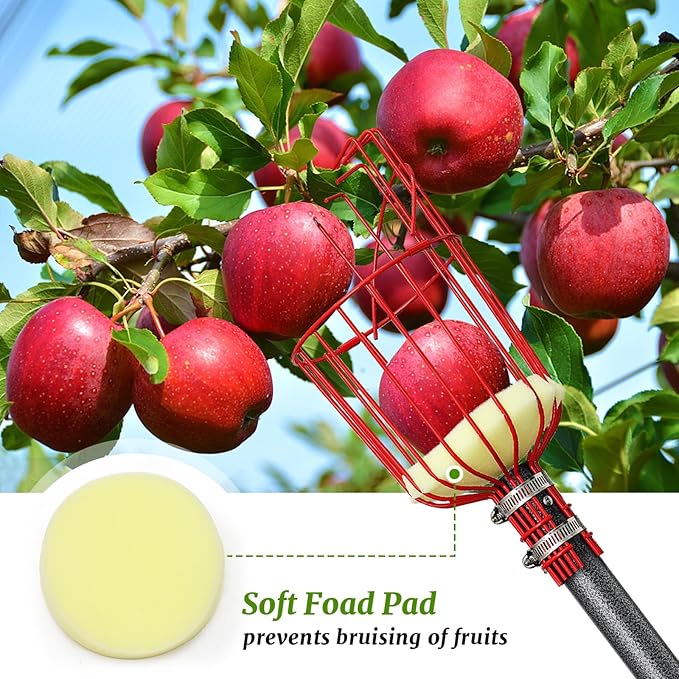 Fruit Picker, Fruit Picker Pole with Basket Extendable Long Handle, Easy to Assemble & Use Fruits Picker Tool for Orange Lemon Apple Mango Avocado (13FT)