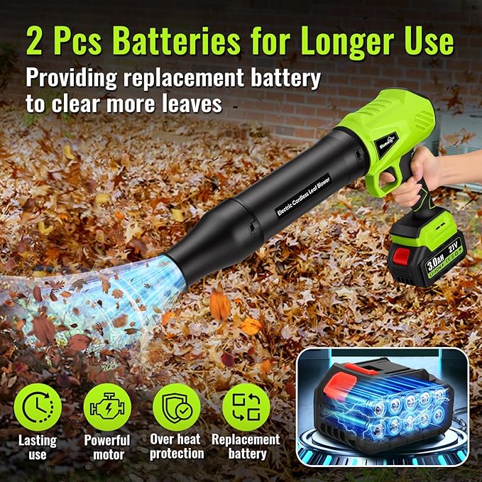 Blumway Leaf Blower Cordless with Battery, 21V Handheld Leaf Blower with 3 Extended Nozzles, Electric Leaf Blowers with 2 Pcs 3.0Ah Batteries, Portable Leaf Blowers for Lawn Care, Leaves,Dust, Car