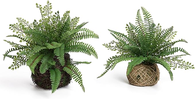 Blanca Rosana Artificial Boston Fern Plants Bushes Faux Plants Shrubs Greenery for House, Office, Garden, Inddor and Outdoor Decor (Standard)