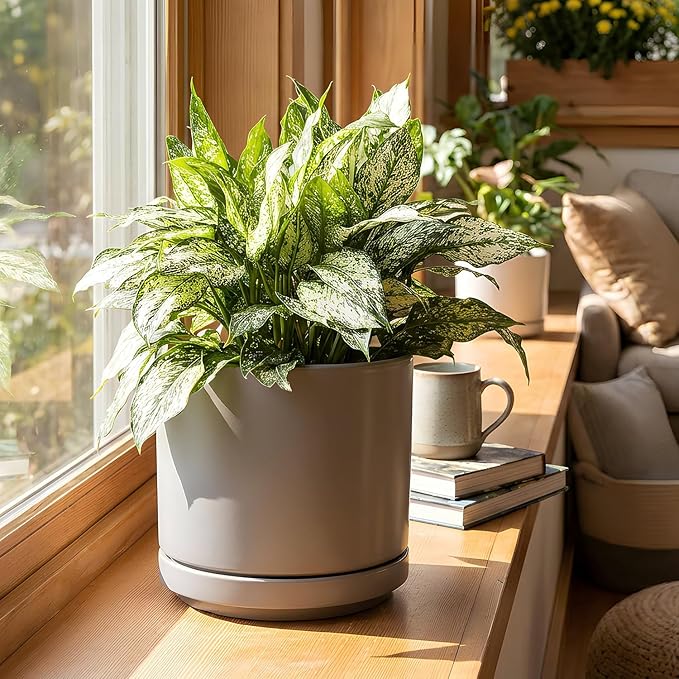 PLANTATOREM Ceramic 12 Inch Mid Modern Planter Pot with Drainage Hole and Saucer, Indoor Cylinder Round Flower Pot, Perfect for Planting Succulents, Herbs, Flowers, House Plants, Heather Grey