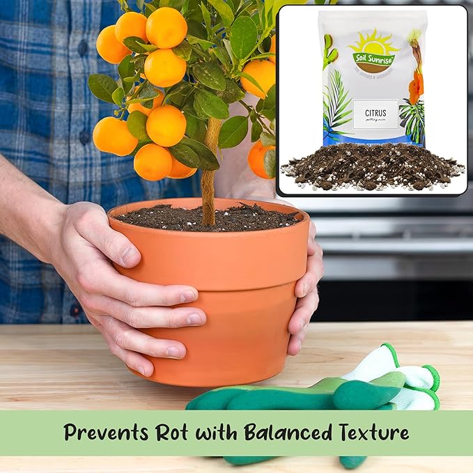 Soil Sunrise Citrus Tree Potting Soil Mix (8 Quarts) Special Blend for Indoor Oranges, Lemons, Limes and More
