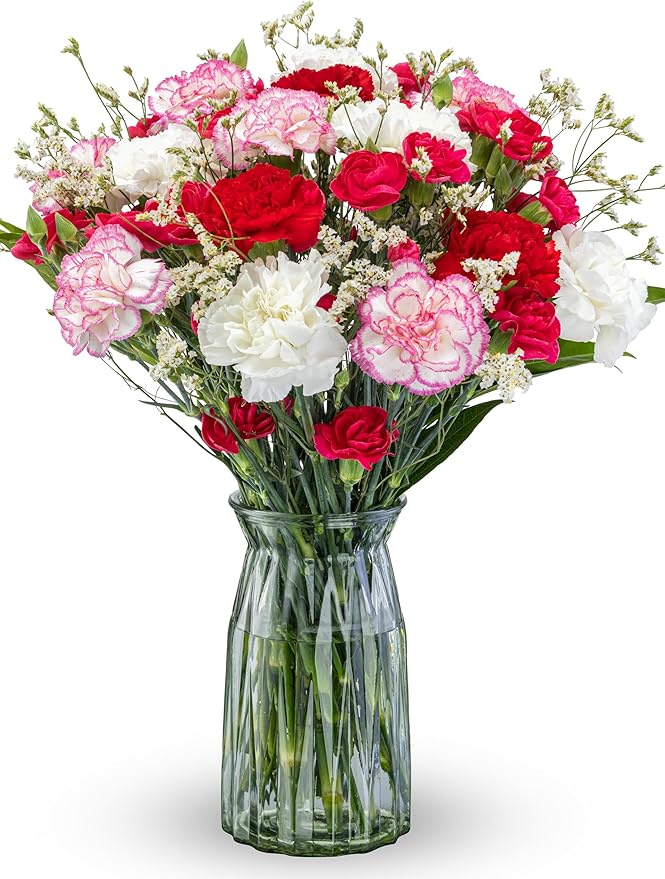 Benchmark Bouquets - 25 Stem Seasonal Carnations (Glass Vase Included) - Fresh Flowers for Next Day Delivery - Gift for Birthday, Anniversary, Sympathy, Get Well, Congratulations, Valentine's Day
