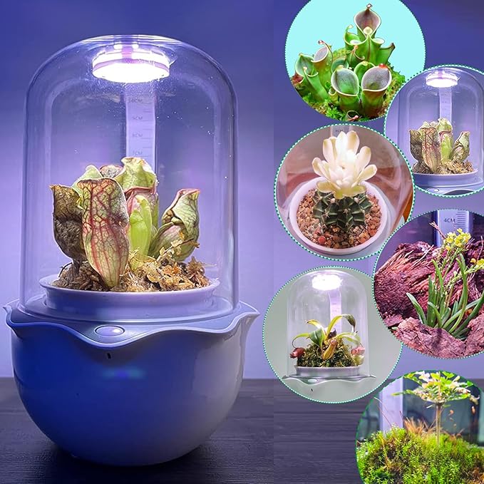 Smart Venus Fly Trap Terrarium Pot with Timer&Fan,Plant Terrarium Kit with Grow Light for Carnivorous,Butterwort, Venus Flytrap,Birthday Plant Gardening Gifts for Women Garden Lover-Planter No Plant