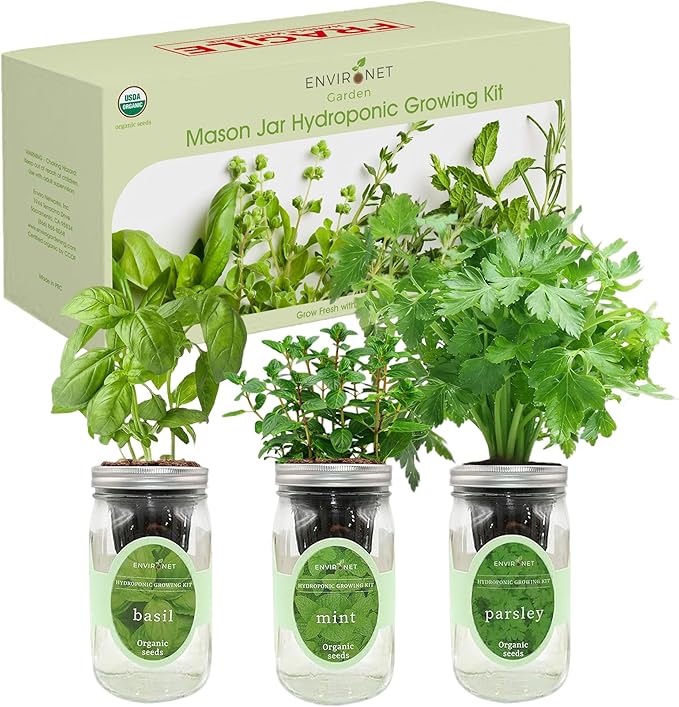 Environet Hydroponic Herb Growing Kit Set, Self-Watering Mason Jar Herb Garden Starter Kit Indoor, Windowsill Herbs Garden, Grow Your Own Herbs from Organic Seeds (Basil, Mint, Parsley)