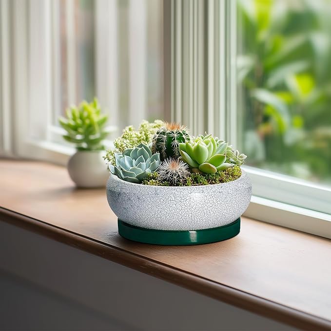 EPFamily Succulent Pots - 6 Inch Ceramic Pots for Succulent Indoor Outdoor, Small Plant Pot with Drainage Hole and Saucer, Bonsai Pot, Modern Round Planter, Window Decor, Housewarming Gifts, Green
