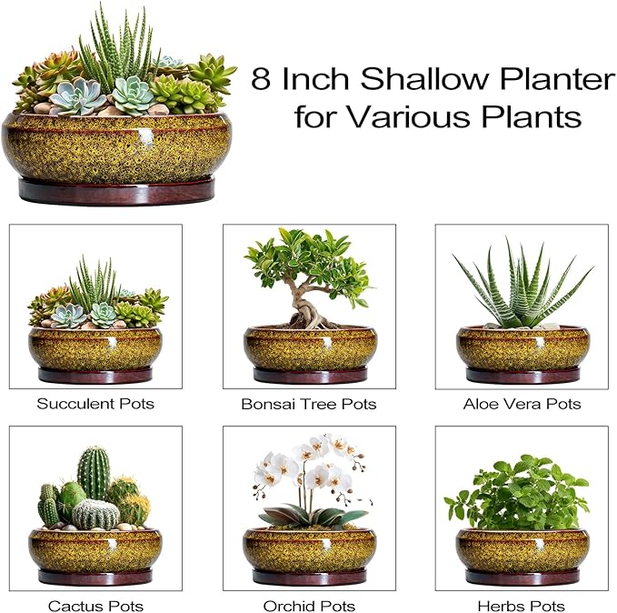 EPFamily Succulent Planters 8 Inch - Ceramic Bonsai Pots with Drainage Hole and Tray, Shallow Plant Pot Indoor Outdoor, Round Succulent Pots, Planter Bowl, Porch Decor, Housewarming Gifts, Yellow