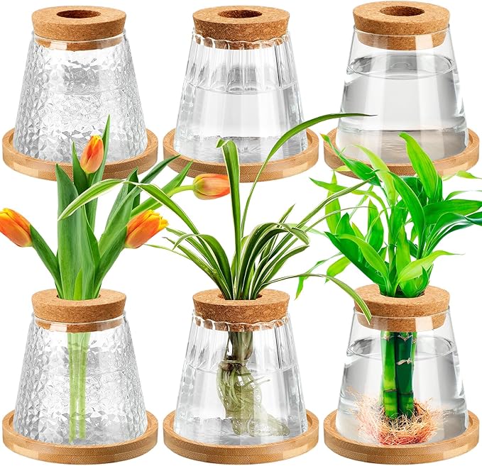 Beeveer 6 Pcs Plants Propagation Station Separated Desktop Plant Terrarium with Wood Lid and Stand, 3 Sizes Glass Planter Propagated Jars Propagation Vases for Indoor Home (Cute Style)