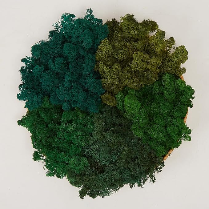 prefleur Preserved Reindeer Moss Natural Green DIY Kit Gardenning Art Wall Decor Florist Decor Easter Table Decor Wedding