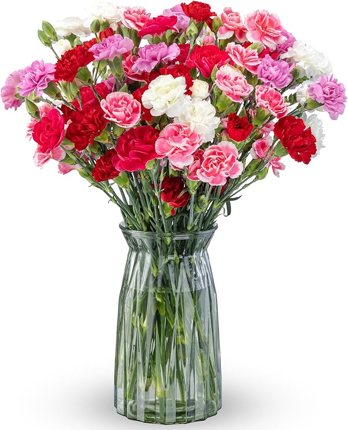 Benchmark Bouquets - 20 Stem Rainbow Mini Carnations (Glass Vase Included) - Fresh Flowers for Next Day Delivery - Gift for Birthday, Anniversary, Get Well, Sympathy, Congratulations, Valentine's Day