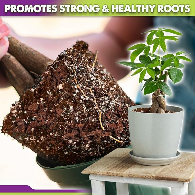 DUSPRO Recycle Money Tree Soil Indoor, Premium Coco Coir Perlite Mix and Pine Bark for Money Tree, Ideal Money Tree Soil for Healthy Growth and Nourishment (2 Quarts)