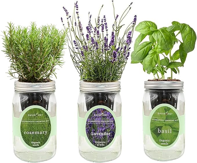 Environet Hydroponic Herb Growing Kit Set, Self-Watering Mason Jar Herb Garden Starter Kit Indoor, New Christmas Gift for Mom (Lavender, Rosemary & Basil)
