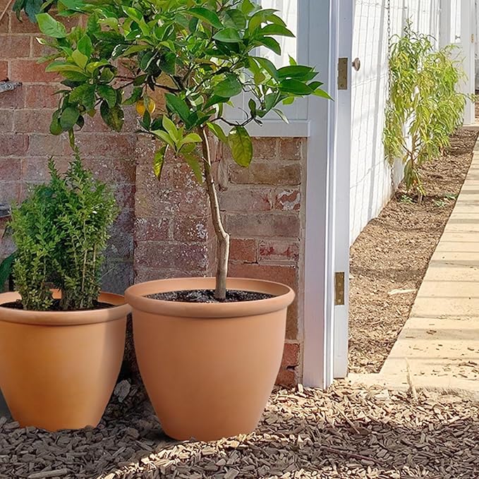 Worth Garden 2-Pack 15" Dia. Round Planters - Large Plastic Plant Pots with Drainage Hole for Indoor & Outdoor Use- Lightweight Decorative Flower Tree Containers for Porch, Patio, Yard, or Deck