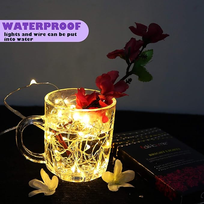 6 Pack Fairy Lights Battery Operated with Timer 2PCS Remote 6.5ft 20LED Warm White Twinkle Lights Waterproof Silver Wire Fireflies Lights DIY Mason Jar Wedding Party Christmas Centerpiece Table Deco
