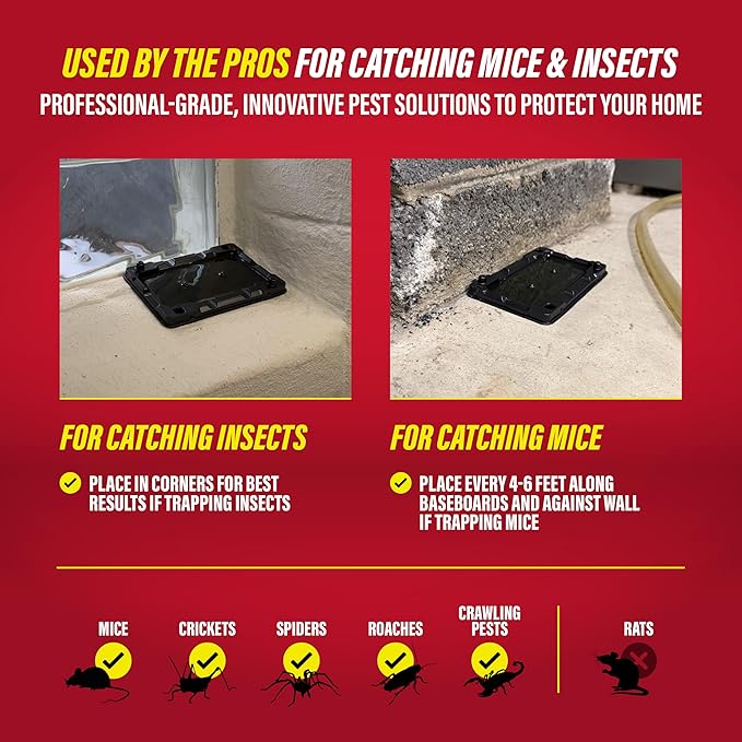 Catchmaster-40 Mouse & Insect Glue Traps, Heavy-Duty Pesticide-Free Sticky Mouse Traps Indoor for Home, Used by The PROs, Adhesive Rodent & Bug Catcher, Pest Control for House & Garage
