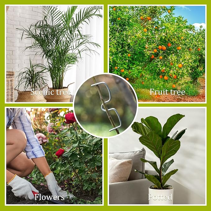 50 Pcs Fruit Tree Limb Spreaders Plant Tying Machine Puller Branchs Preaders Plum Tree Open Angle Pull Branch Stereotyped Tying Bending Farm Tools, M-5.12(Inch), Galvanized
