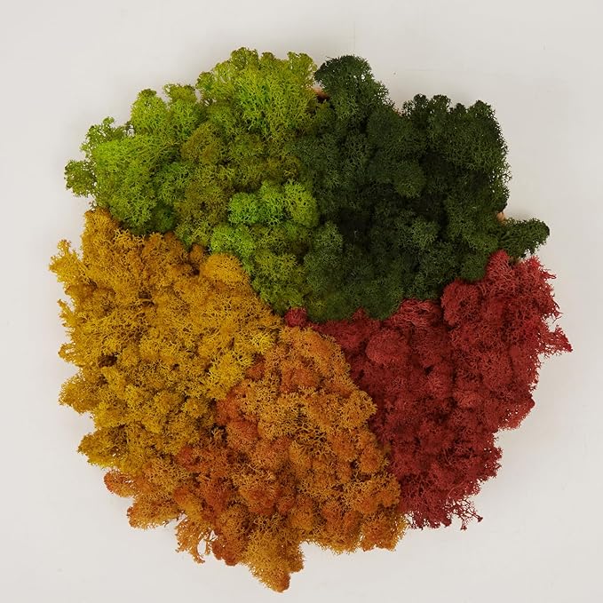 prefleur Preserved Reindeer Moss Natural Green DIY Kit Gardenning Art Wall Decor Florist Decor Easter Table Decor Wedding