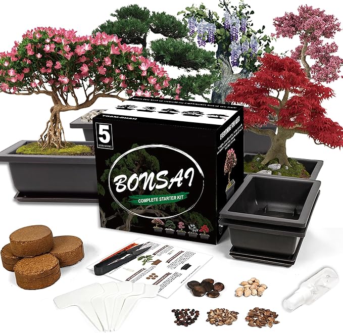 Sproutix Bonsai Starter Kit, 5 Seeds Growing into Acacia, Wisteria, Sakura, Red Maple and Black Pine, Including Complete Gardening Tools with A Gift Box, Christmas Gifts for Men Women Beginners