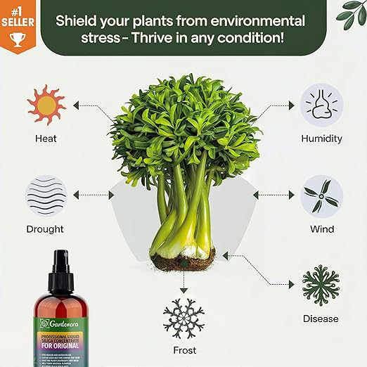 𝐏𝐑𝐎𝐅𝐄𝐒𝐒𝐈𝐎𝐍𝐀𝐋 Liquid Silica Plant Supplement - 32oz - THAI CONSTELLATION Bioavailable Silica Fertilizer – Ideal for Hydroponics & Soil – Indoor & Outdoor Monstera Plants (Makes 180 Gallons)