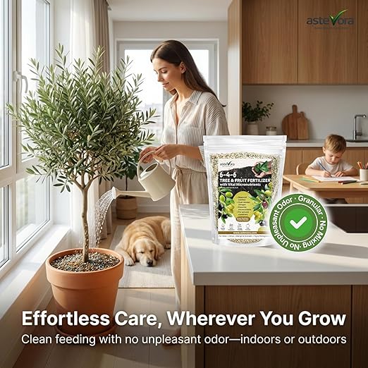 Olive Tree Fertilizer – Fruit Tree Fertilizer for Olive Tree, Citrus, Lemon, Lime, Fig, Avocado, Mango, Apple & Pomegranate – for Potted & Outdoor Trees (4 quarts - 8 lbs.)