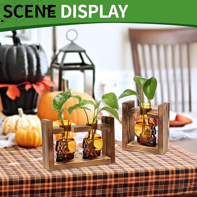 2+1 Plant Terrarium Plant Propagation Station Gifts for Father Halloween Skull Home Office Decor with Wooden Stand