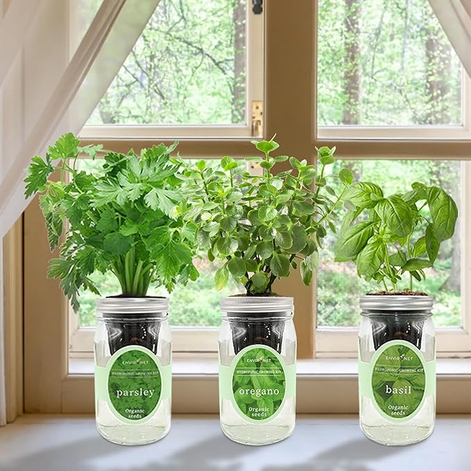 Environet Hydroponic Herb Growing Kit Set, Self-Watering Mason Jar Herb Garden Starter Kit Indoor, Window Herbs Garden, Grow Your Own Plants from Organic Seeds (Basil, Parsley and Oregano)