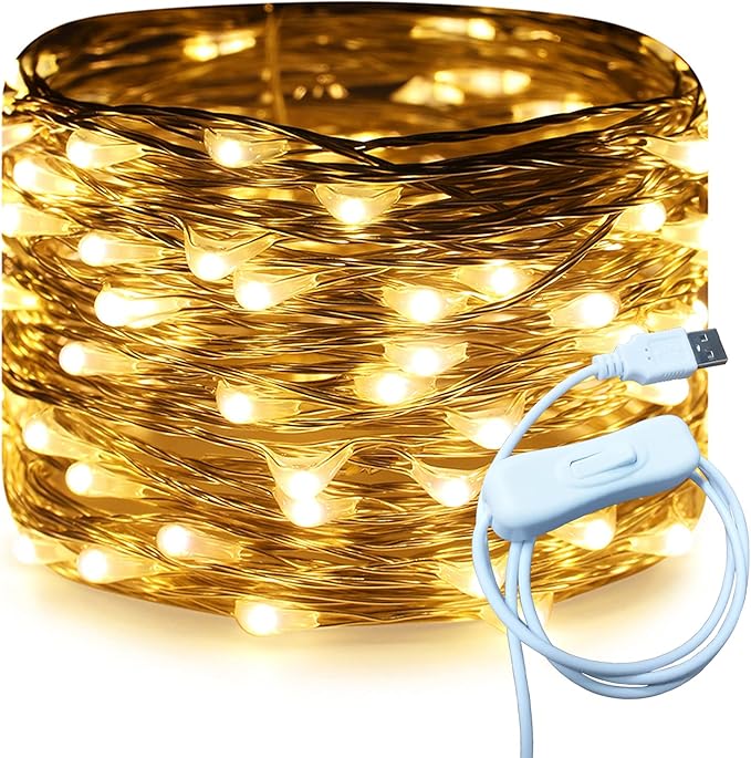 RUICHEN Silver Wire 33 Ft 100 LED USB Fairy String Lights with On/Off Switch (Warm White)