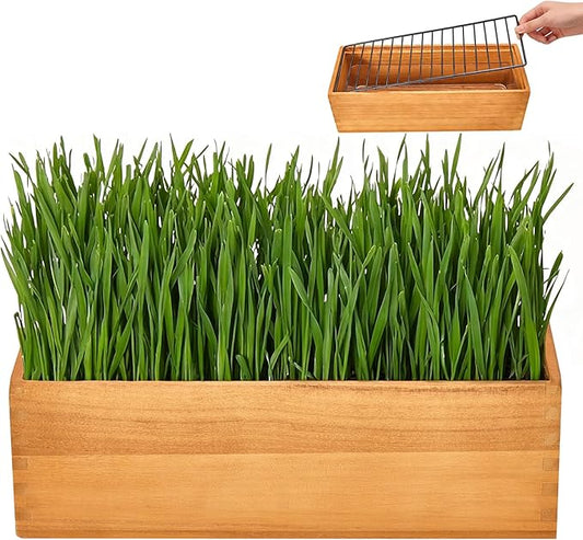 Wooden Cat Grass Planter,Cat Grass Kit for Indoor Cats with Anti-Digging Grid, Potting Soil Disks,Watering Bottle and Removable Plastic Liner,Wheat Grass Growing Pot