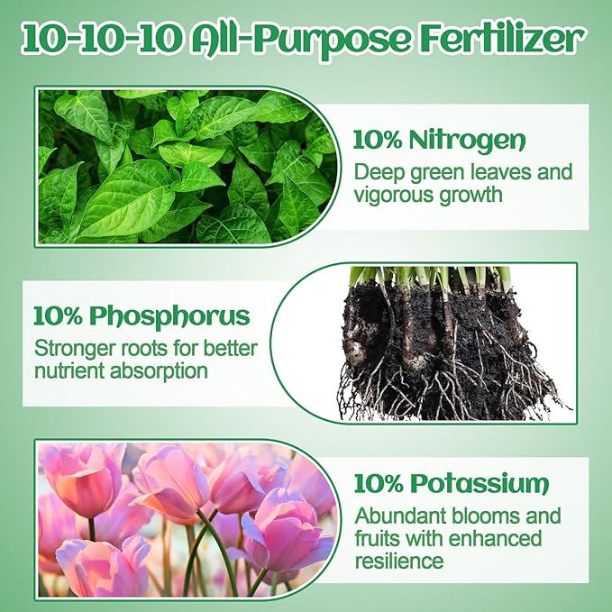 10-10-10 Slow-Release Premium Fertilizer - All-Purpose Plant Food for Indoor Outdoor Gardening Vegetables Flowers Lawn Trees Shrubs, 0.5 Quart